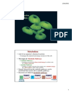 An Introduction To Metabolism