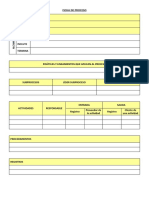 Formato - Ficha de Proceso