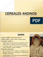 Cereales andinos