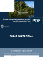 UII - 07 - Flujo Superficial 2021II