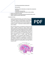 Guía de Práctica 9-Sistema Cardiovascular