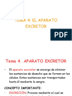 Aparato Excretor