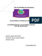 Determinantes de La Salud Desde El Punto de Vista Del Sector Salud