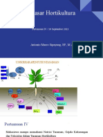 Kuliah MG 4. Dasar Hortikultura