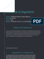 Ramas de La Ingenieria