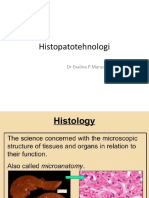 Histopatotehnologi 1 2021