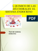 Sistema Endocrino 3