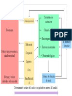 Determinantes Sociales de La Salud