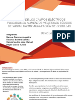 Exposición Campos Electricos