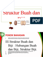 Struktur Buah Dan Biji-1