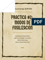 Practica 2 Modos de Fosilizacion