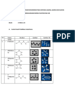 Contoh Laporan Praktikum Keisomeran Oleh Sri Muliani