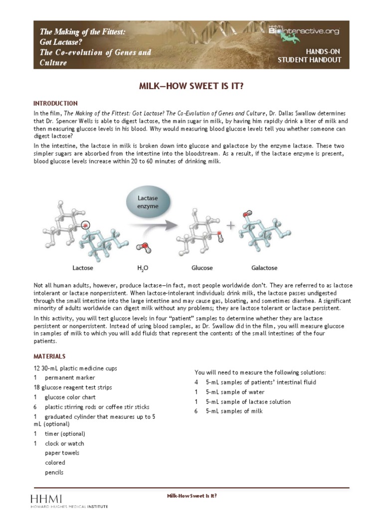 Lactase Lab PDF Milk Nutrition