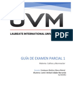 Guía - Examen - 1° Parcial - Lenin Udabe