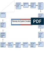 Pulmonary and Systemic Circulation