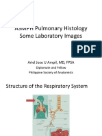 ASMPH Pulmo Histo Lab Images