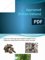 Agar Wood