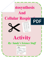 Photosynthesis and Cellular Respiration: Activity