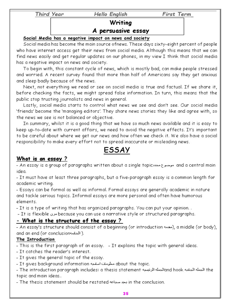 Persuasive Essay Writing Guide | PDF | Essays | News