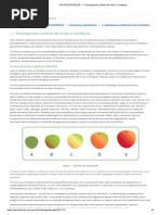 FRUTASHORT2021B_ 1.1 Fisiologia pós-colheita de frutas e hortaliças