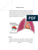 LP Tamponade Jantung