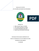 Makalah KLMPK 7 Biostatistik