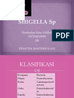 Shigella SP - Rembulan Ratu Adillah-IIIB