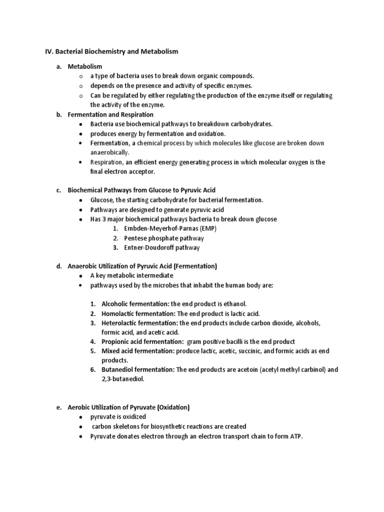 IV. Bacterial Biochemistry and Metabolism | PDF | Fermentation | Dna