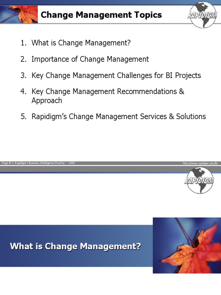 Change Management for BI Success | PDF | Information Technology ...