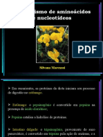 Metabolismo de Aminoácidos e Nucleotídeos - Redução - 2013