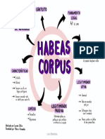 18936045 Habeas Corpus