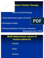 Des Moines 3.30.11 #3 Multi Systemic Family Therapy