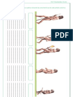 PREHISTORIA. Ficha la evolución humana.