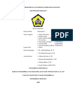 Kelompok 5A - Sistem Pencernaan