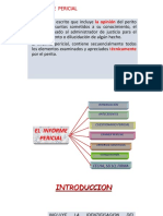 El Informe Pericial