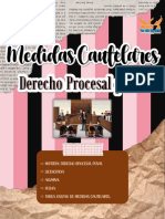 Ensayo de Medidas Cautelares