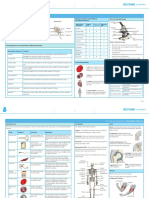 Cells and Organisation Knowledge Organiser