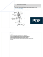 Anatomia Óssea - Reconhecimento de Ossos