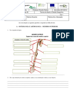 BG 10ºano Teste Diagnostico