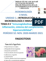 S3.3 Fagocitos 