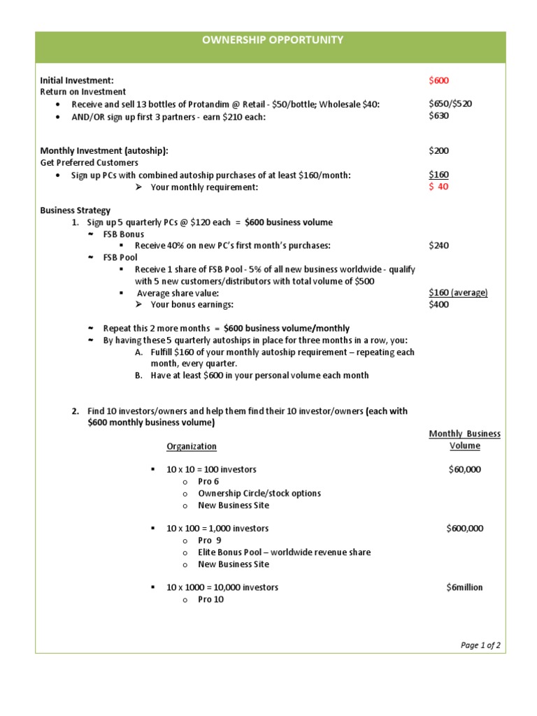 Ownership Opportunity and Business Strategy | PDF