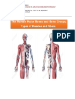 The Musculoskeletal System