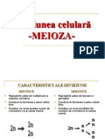 Meioza