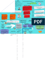 Mapa Conceptual Jesus Vielma