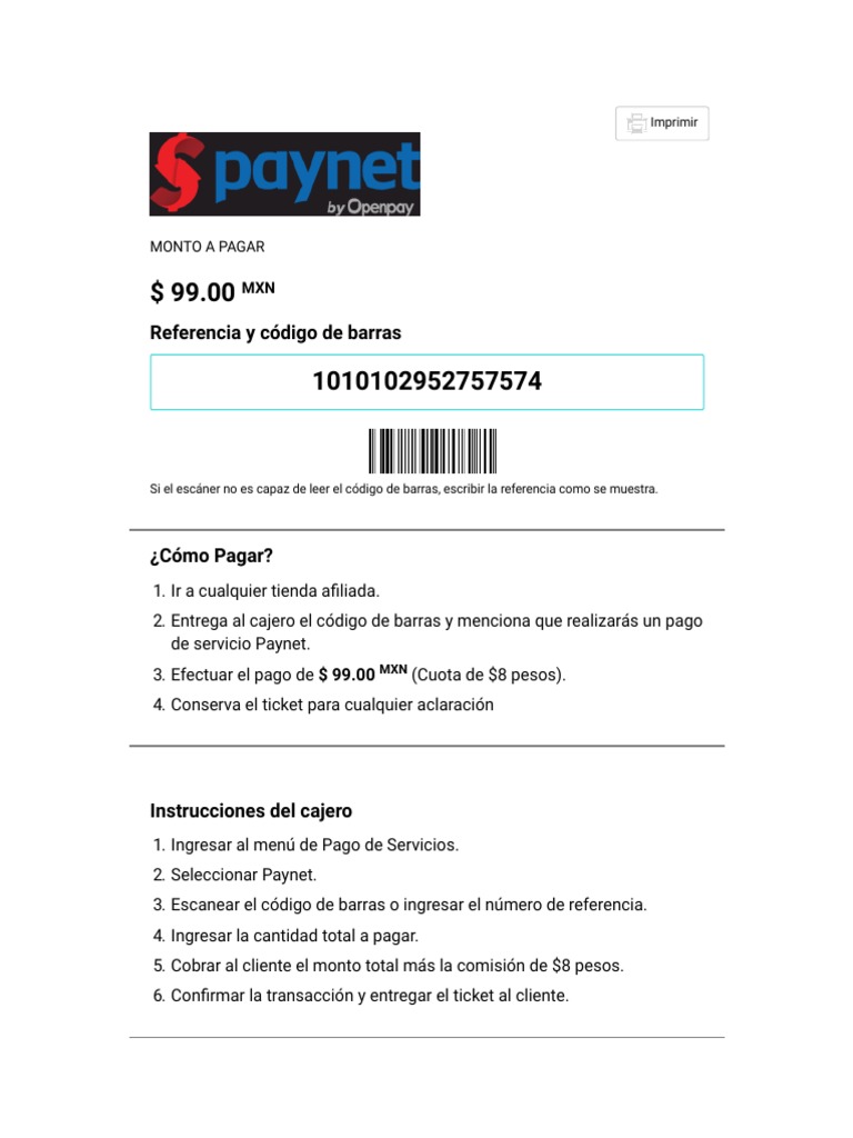 Instrucciones de Pago Paynet en Tiendas | PDF