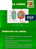 Tema 7 - Morfología y Fisiología Celular Pre II Sec Lsa 2021.