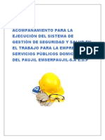 Acompañamiento para La Ejecuciòn Del Sistema de Gestiòn de Seguridad y Salud en El Trabajo para La Empresa de Servicios Pùblicos Domiciliarios Del Paujil Emserpaujil