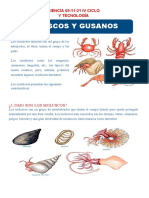 Moluscos y crustáceos: características y clasificación