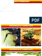 Reproduksi Tumbuhan