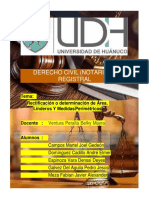 (MODIFICADO) Rectificacion o Determinacion de Area, Linderos Y Medidas Perimetricas